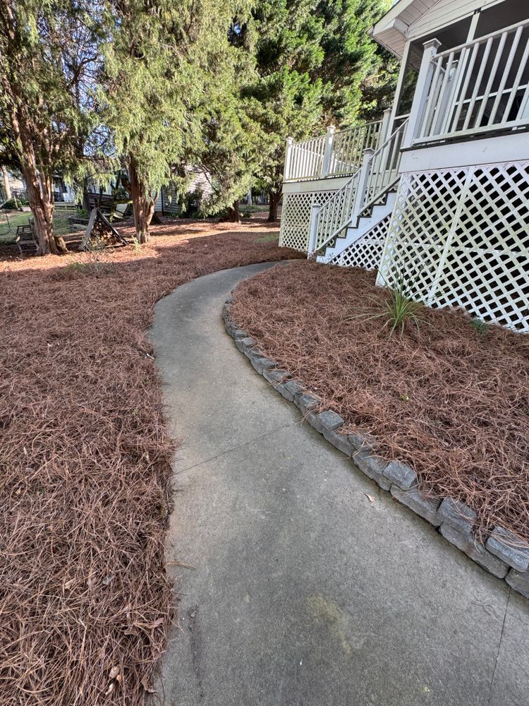 Concrete path curves through a yard mulched with pine needles, beside a house with white lattice.