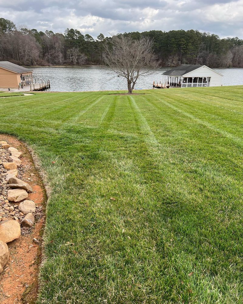 Lush green lawn with freshly cut stripes leads to a lake, with houses and a bare tree. Overcast sky.
