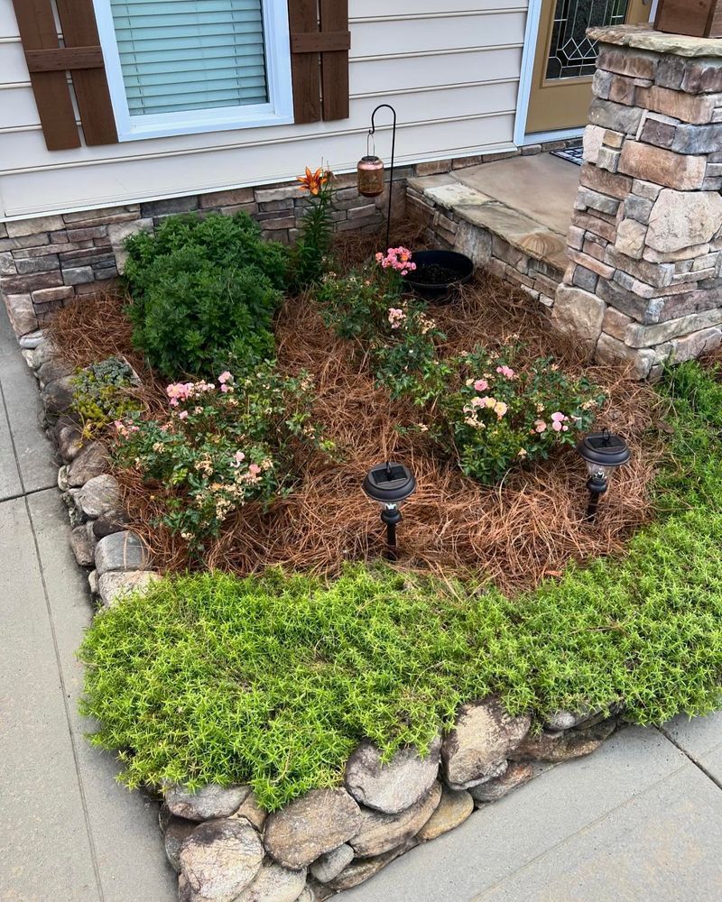 Garden bed with stone border, various plants, and solar lights.