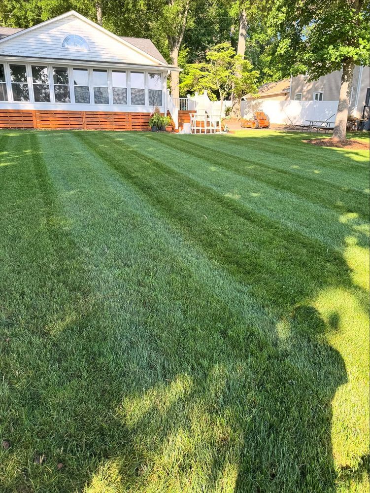 Lawn with alternating stripes of freshly cut and uncut grass in front of a house on a sunny day.
