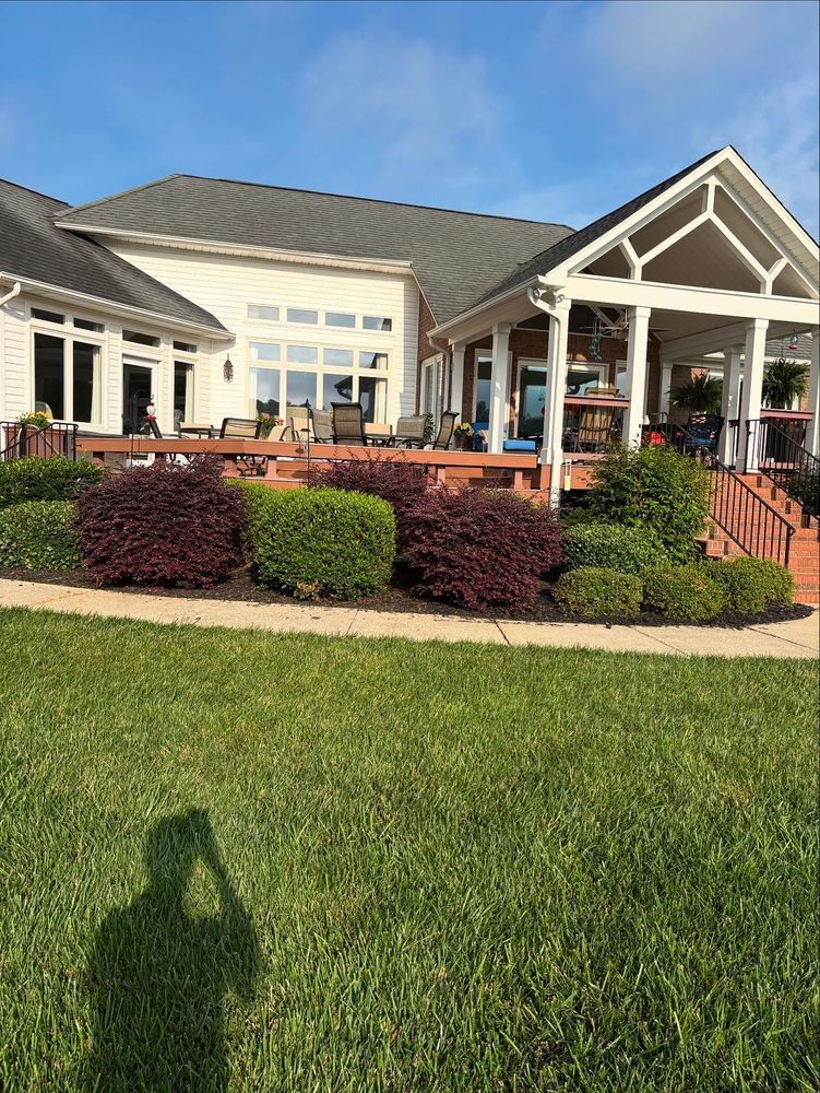 Backyard with house, deck, shrubs, and covered patio under blue sky.
