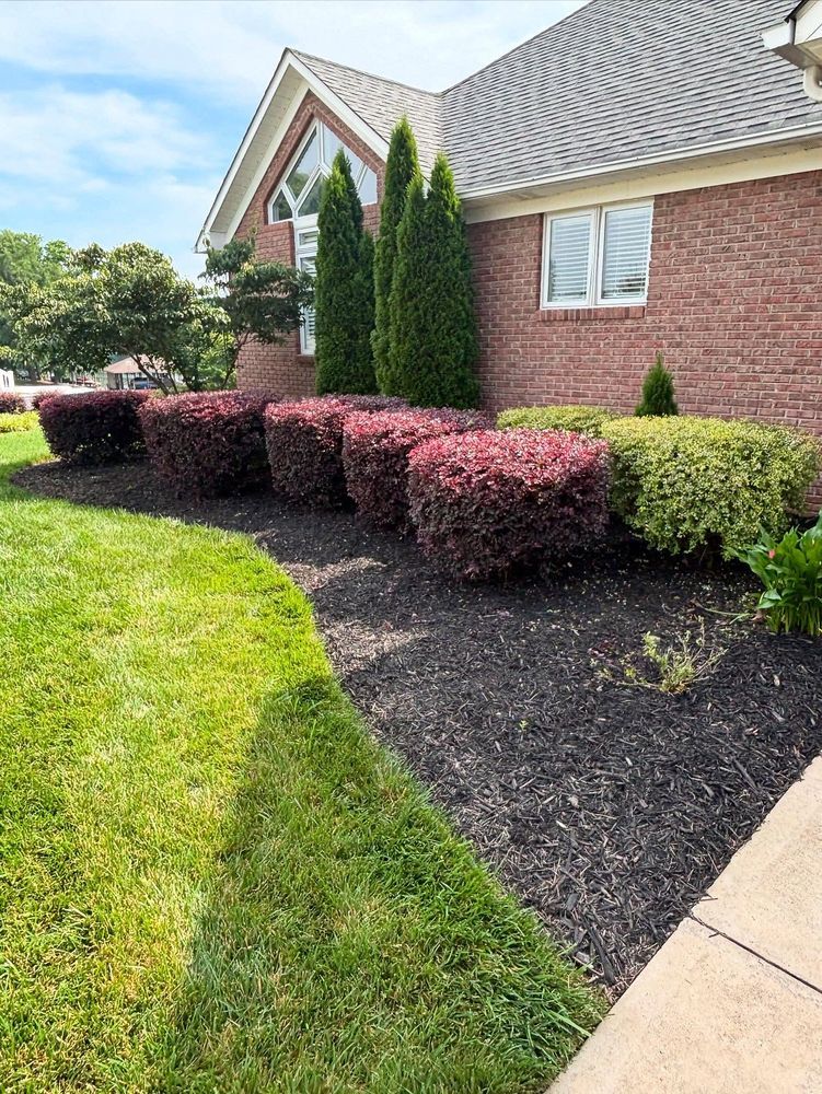 Landscaped front yard with red and green bushes, tall green trees, and a brick house.