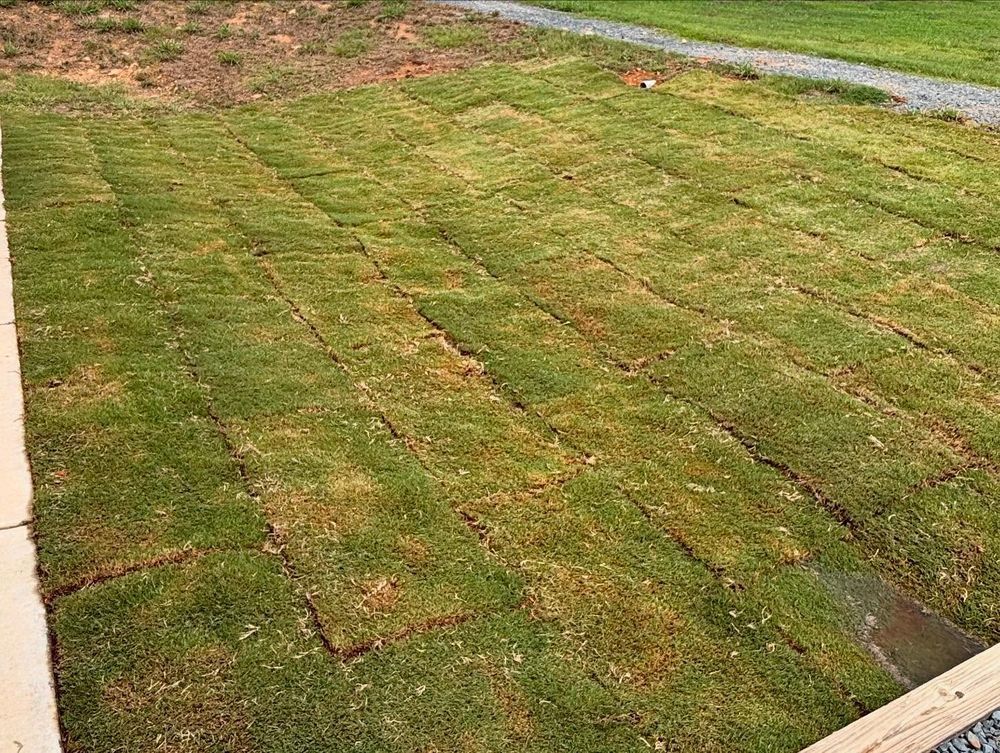 Newly laid sod in a rectangular yard, partially covering bare earth, with a wooden border.