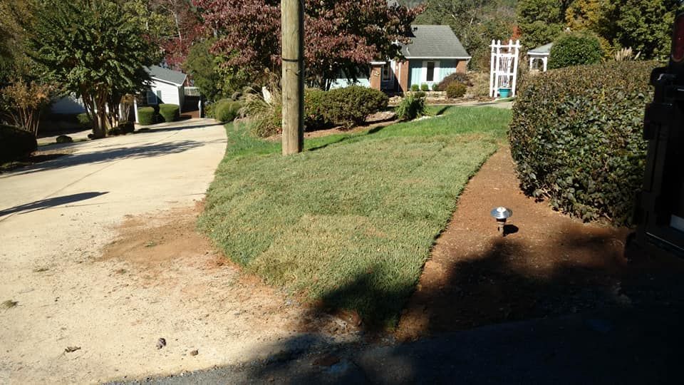 A newly sodded lawn along a road, with a power pole, shrubs, and houses in the background.