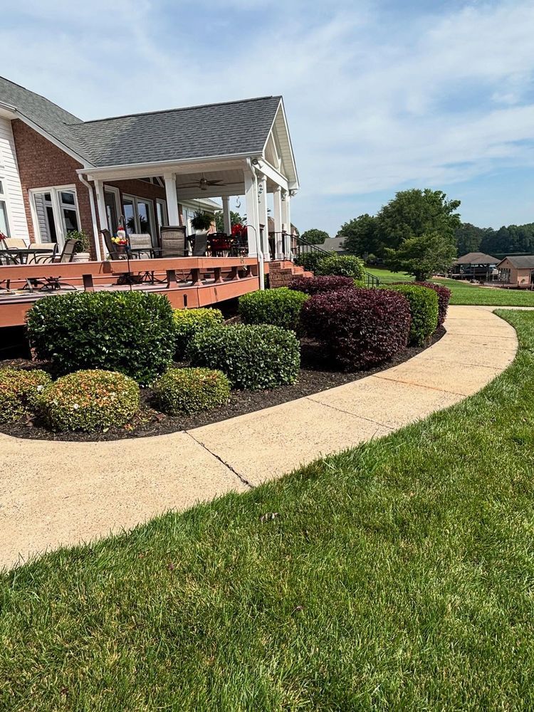 Lush green yard with a concrete walkway curving past neatly trimmed bushes of varying colors next to a deck.