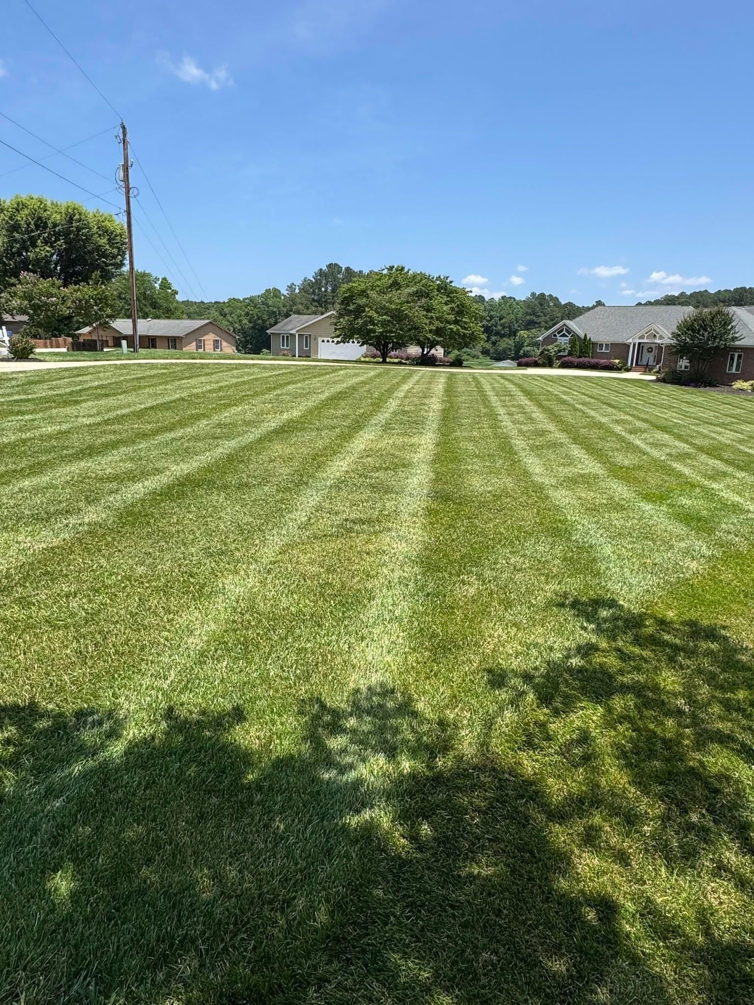 Well-groomed, striped green lawn in a suburban setting on a sunny day. Houses and trees in the background.