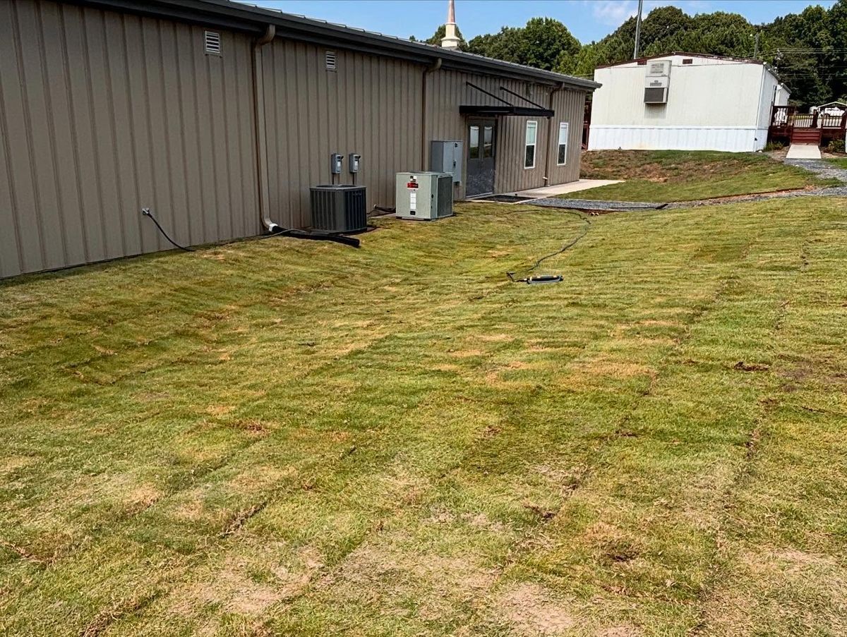 Sod installation 4