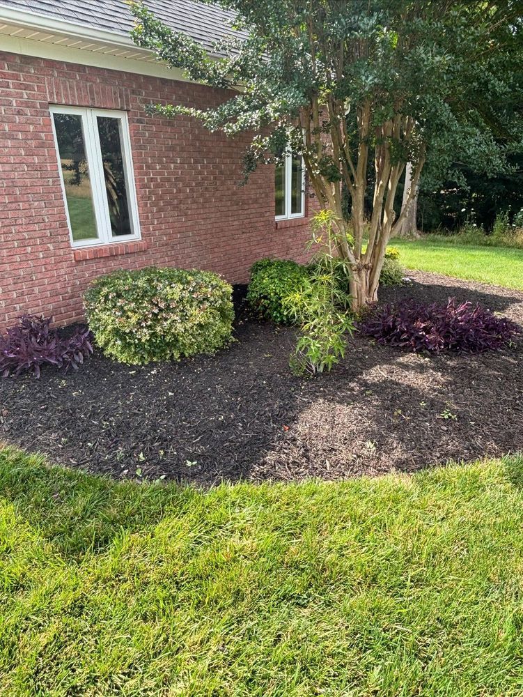 Red brick house with landscaped bed of dark mulch and various green and purple plants.
