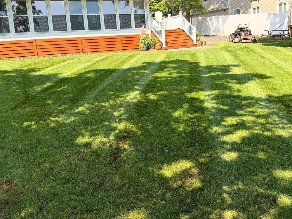 Lawn with freshly cut stripes; mower on the right; house in the background.