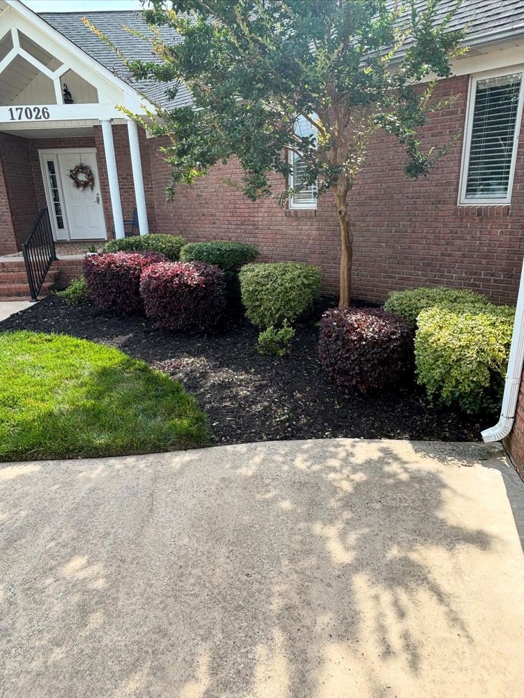 A brick building with manicured landscaping: red, green shrubs, a tree, black mulch, and a concrete path.