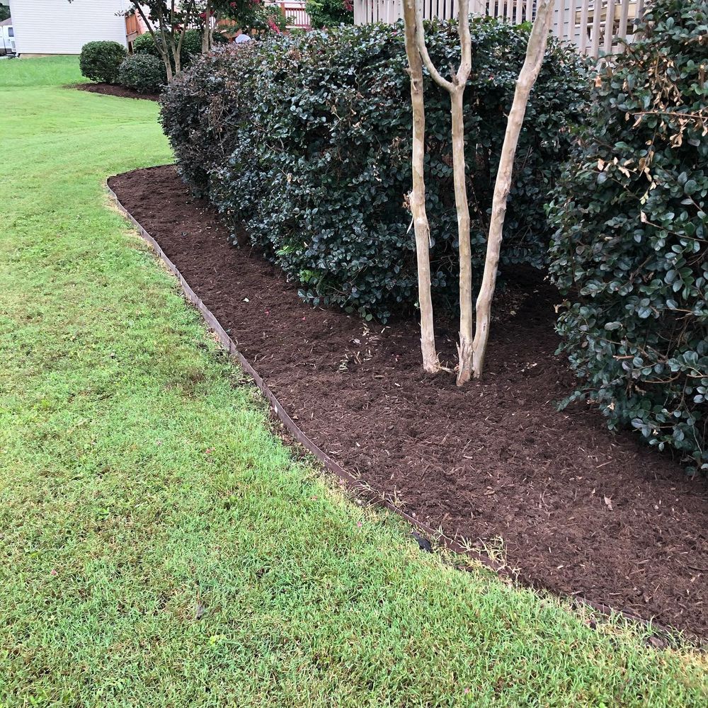 Lawn with a mulch bed border, containing bushes and a tree.