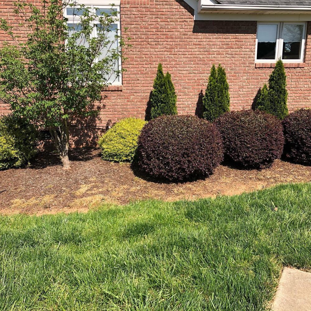 Brick house with green lawn, shrubs, and small trees in front.