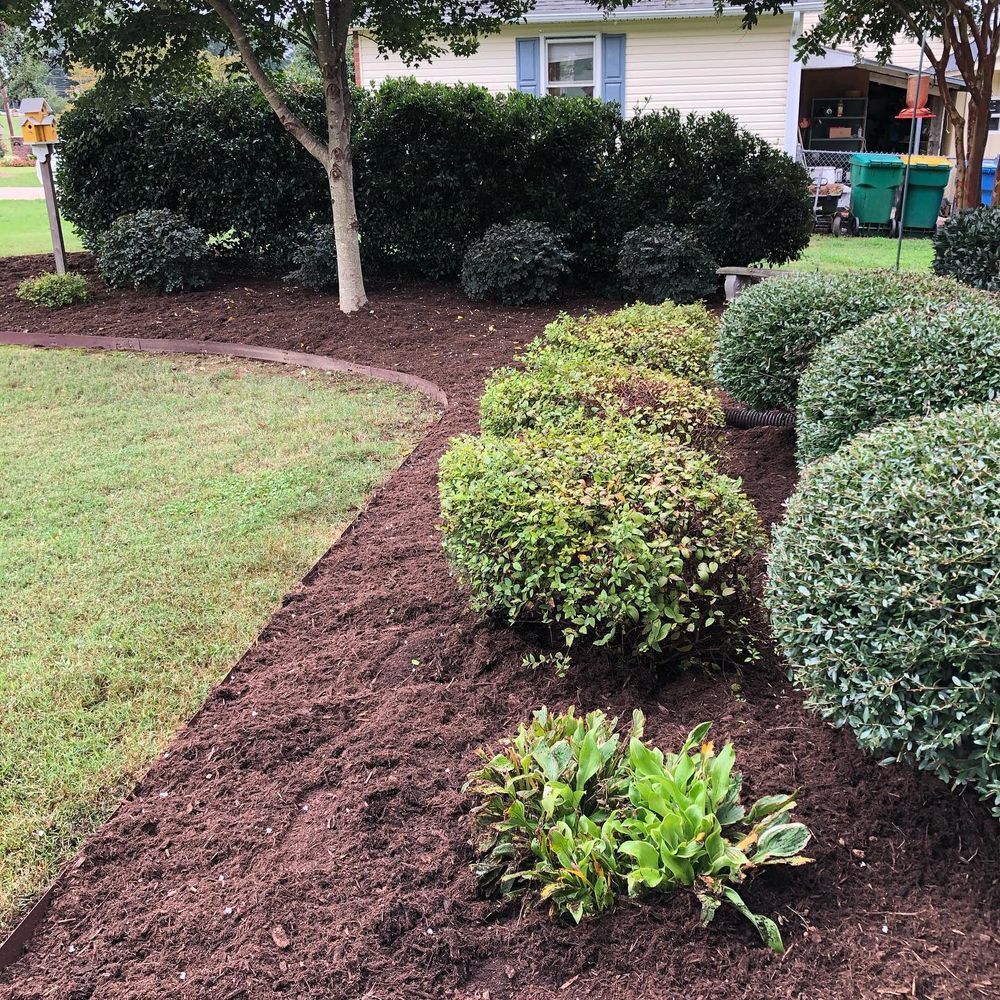 Lush garden bed with trimmed green bushes and fresh brown mulch bordering a green lawn.