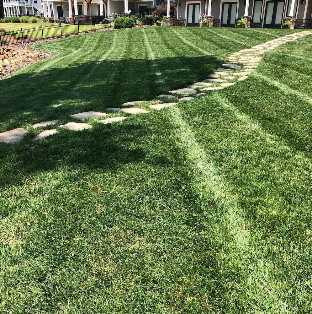 Lush green lawn with a stone pathway leading to houses; striped mowing pattern.