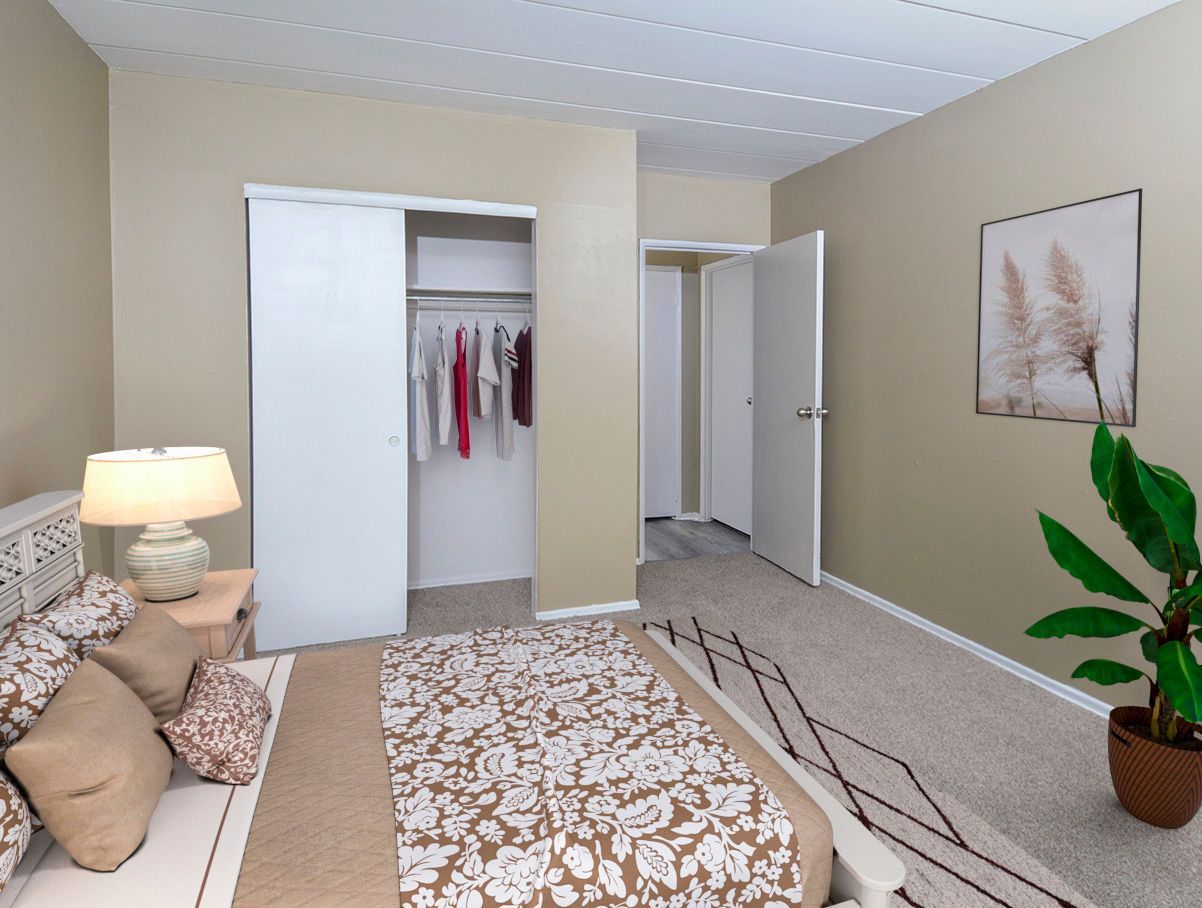 Bedroom in an apartment with a bed, closet, dresser, lamp, and a potted plant.