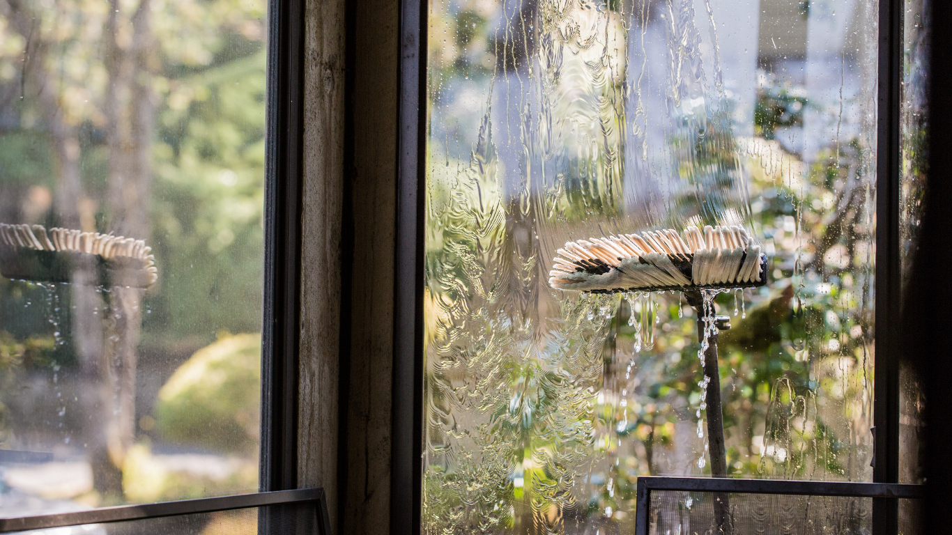 A window being cleaned with a squeegee, showing a blurry view of greenery and trees outside.