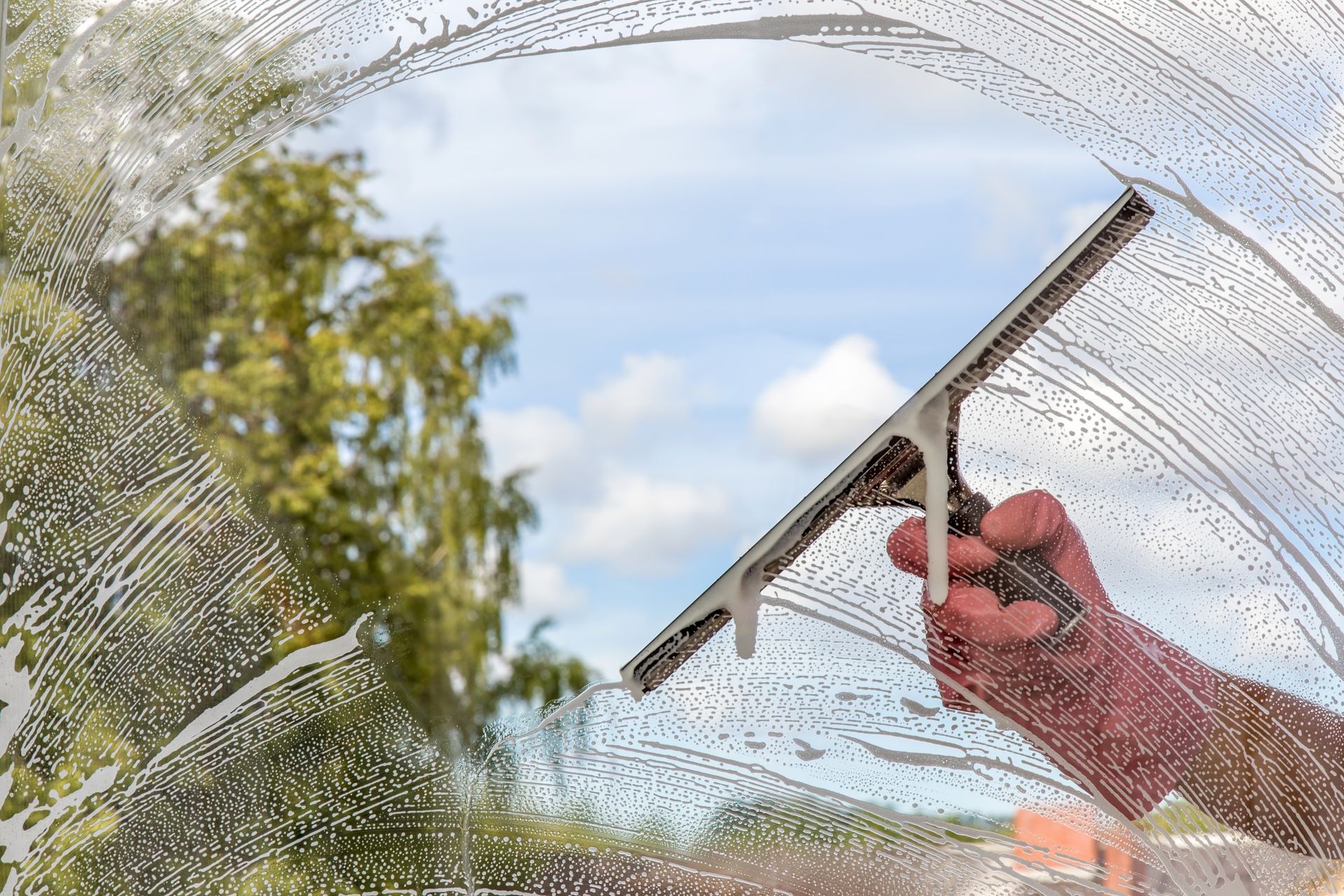 A hand wearing a pink cleaning glove uses a squeegee to wipe soapy water off a glass window, revealing a tree and blue sky.