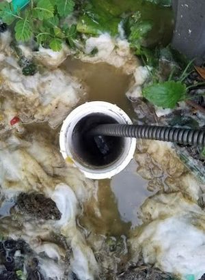 A close up of a drain with a hose sticking out of it.