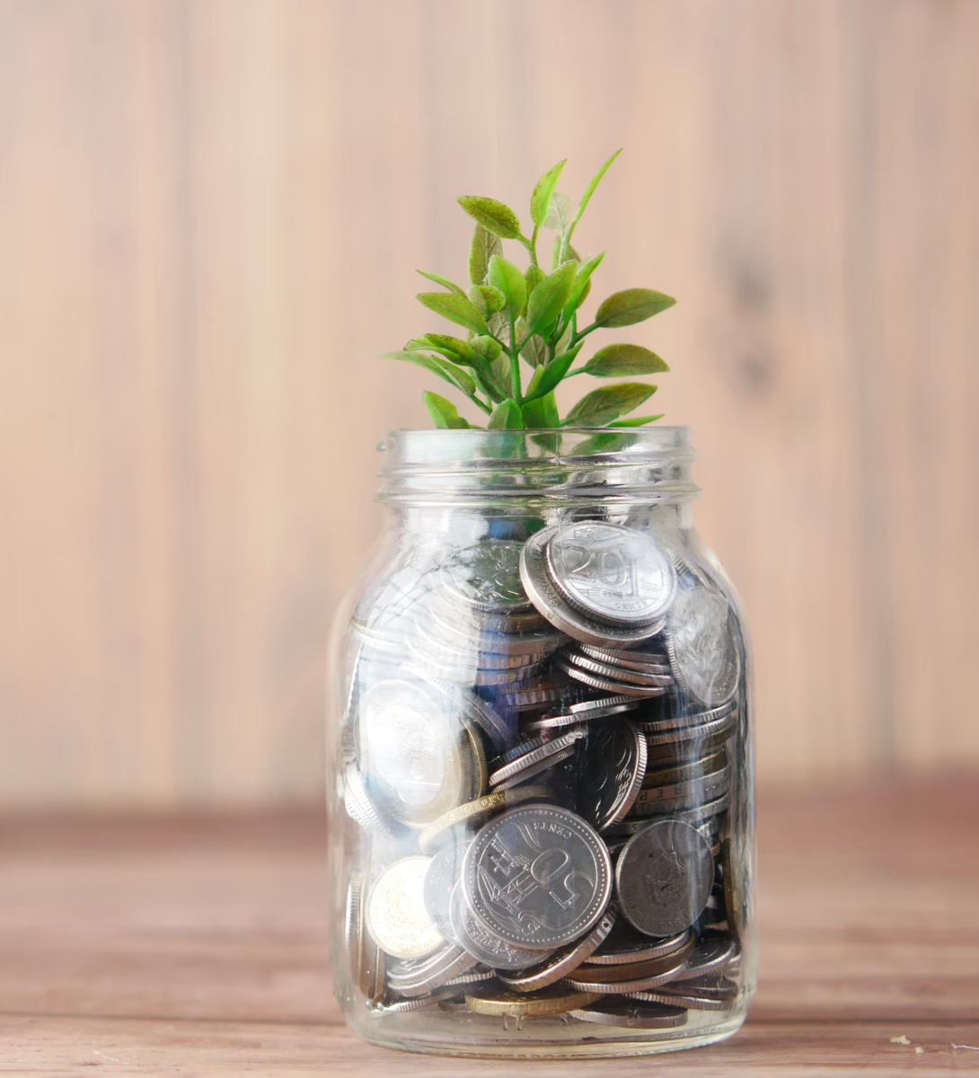 Jar of coins with a small plant growing from the top, symbolizing financial growth.
