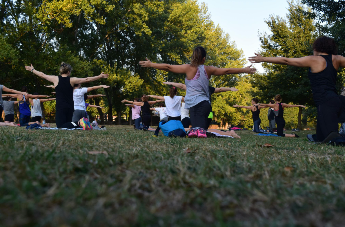 People doing yoga in a park with arms outstretched, green grass, trees in the background, sunny day.