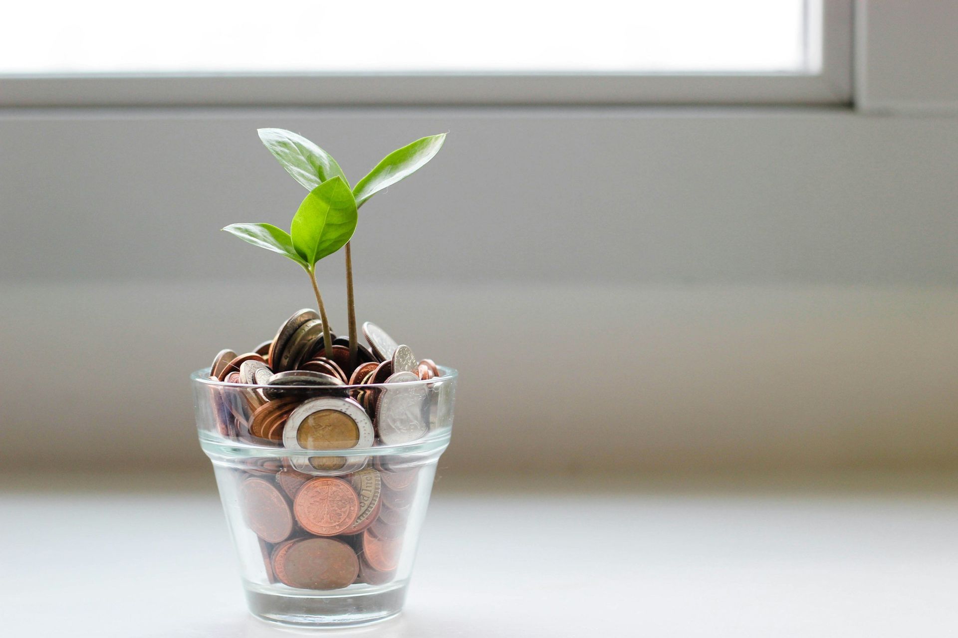 Glass with coins and a small plant growing, symbolizing financial growth, next to a window.