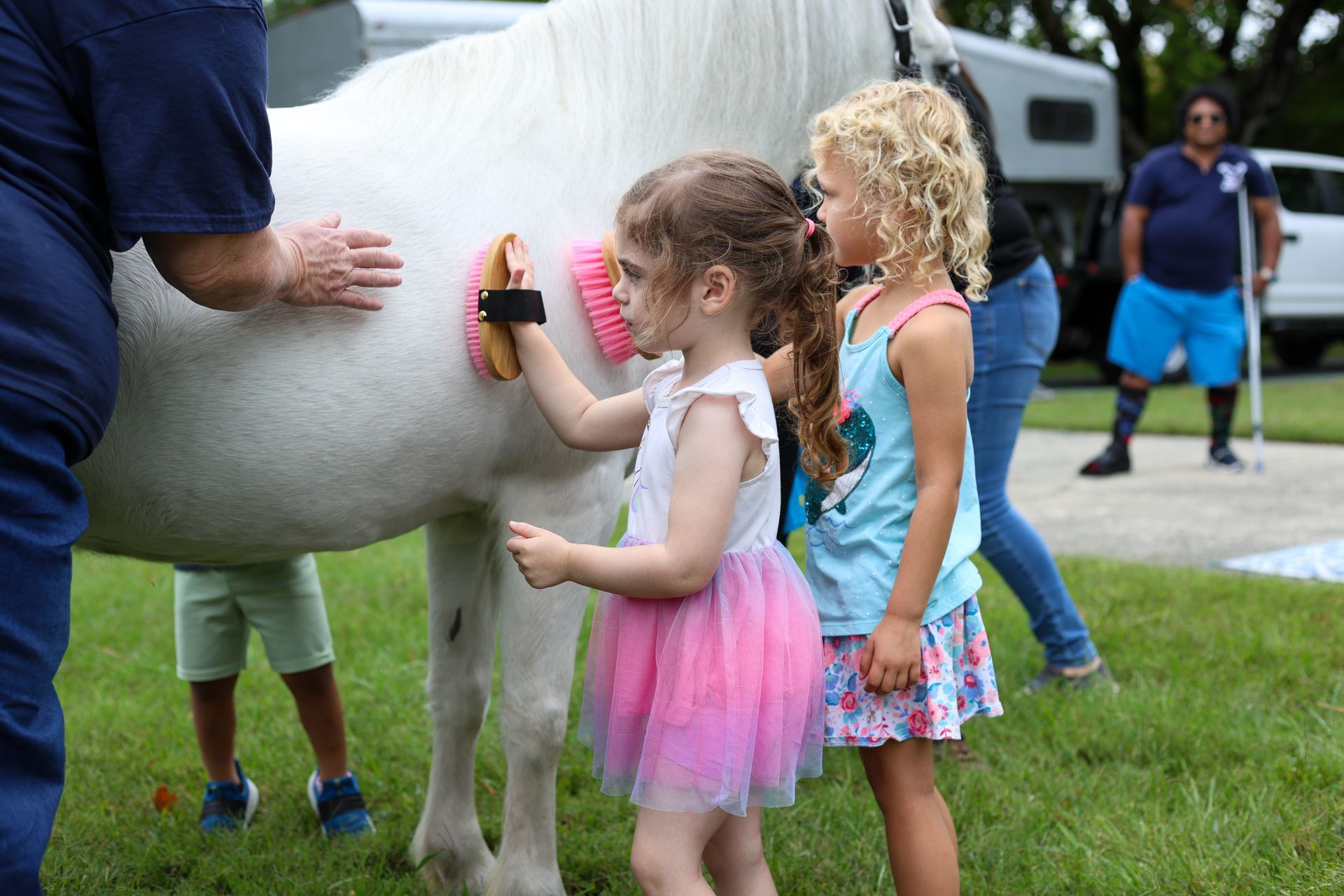 girls in dresses groom a white horse while an instructor demonstrates