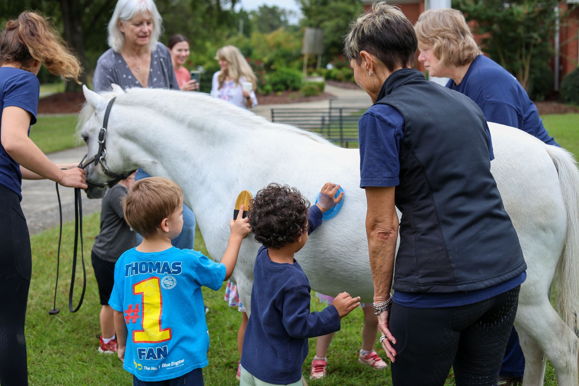 children grooming a white horse with help from adults