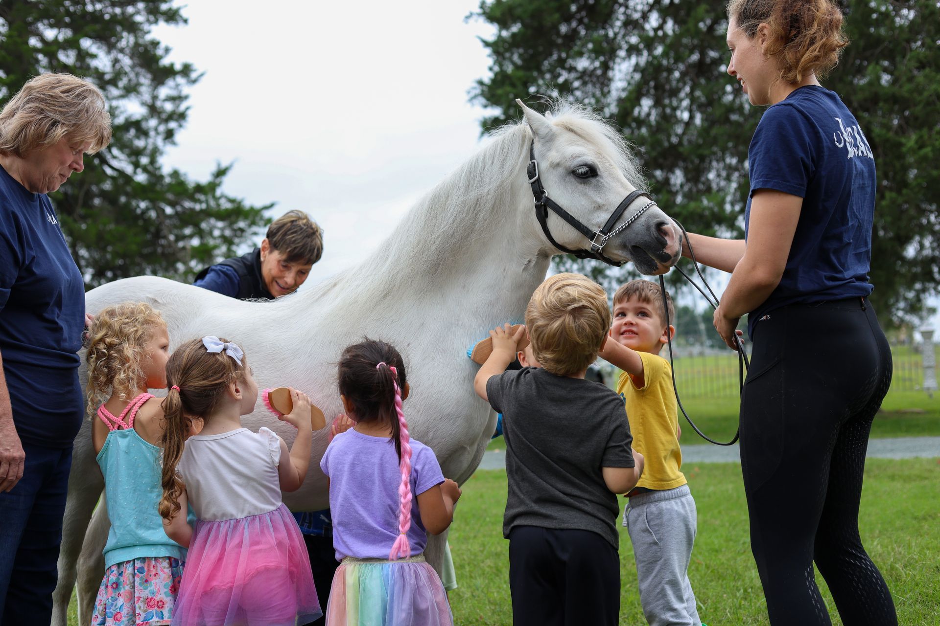 a group of young children groom a white horse