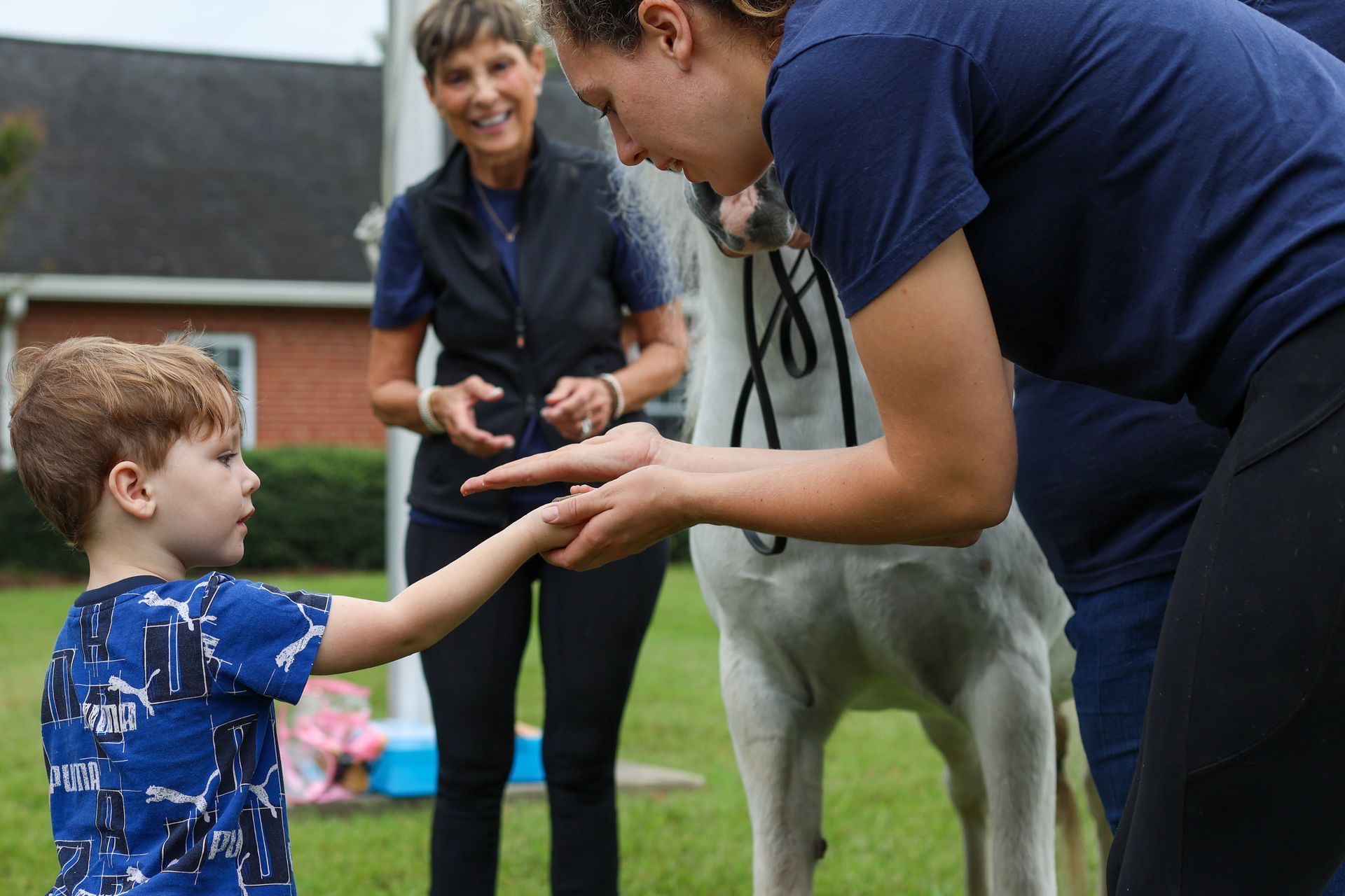 a boy holds his hand out to the riding instructor