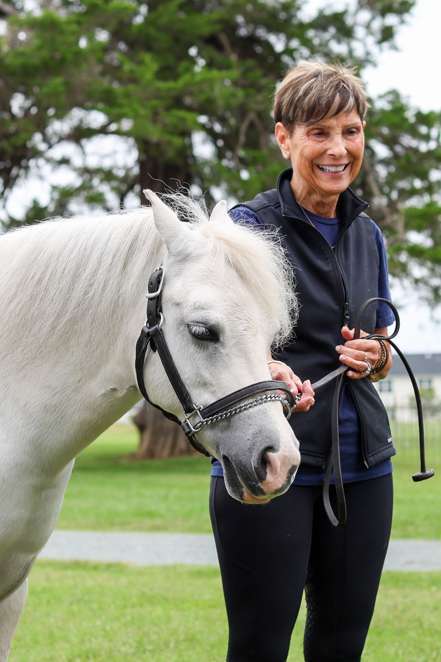 up close image of a white horse being held by the reigns