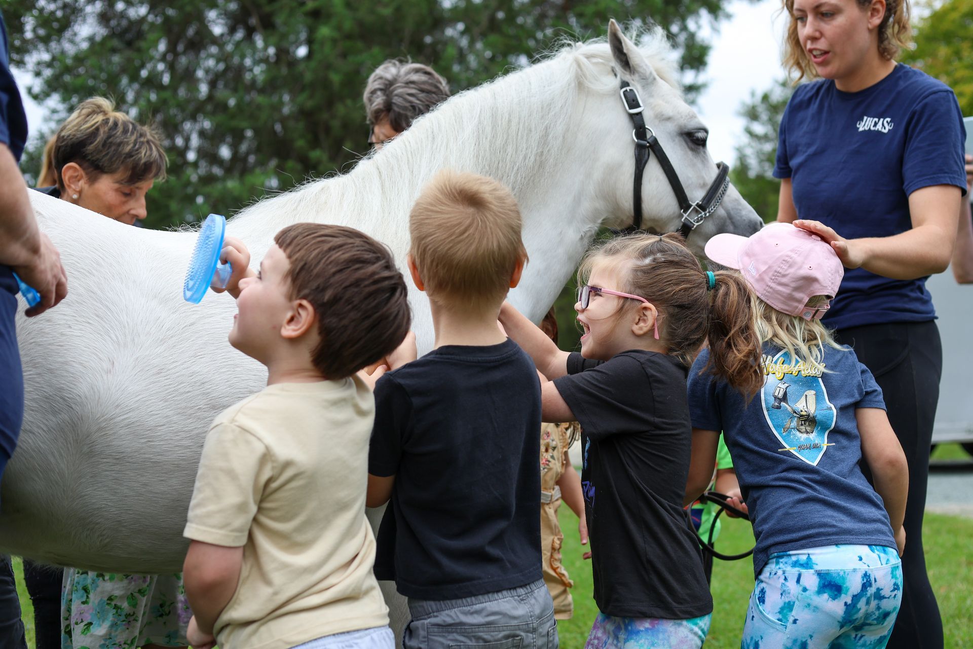 a group of children are grooming the horse