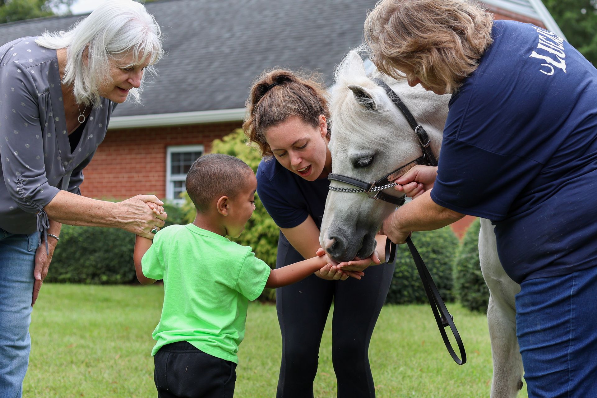 a boy is touching the horse's mouth and surrounded by adults
