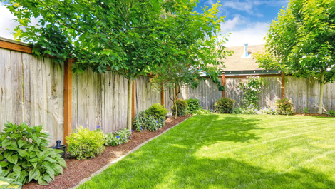 Landscape Maintenance