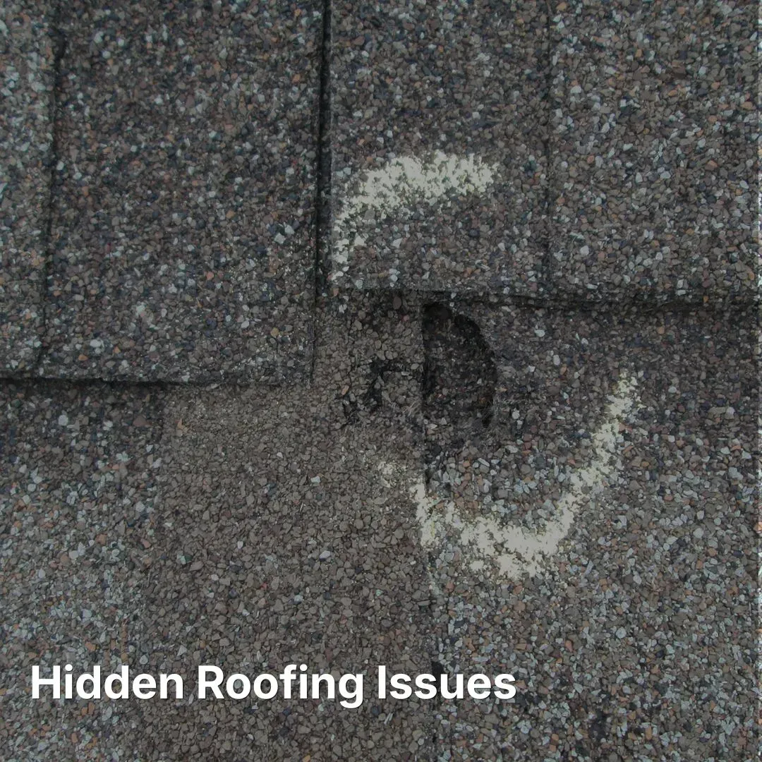 Hidden roof issues that may not be easily visible.