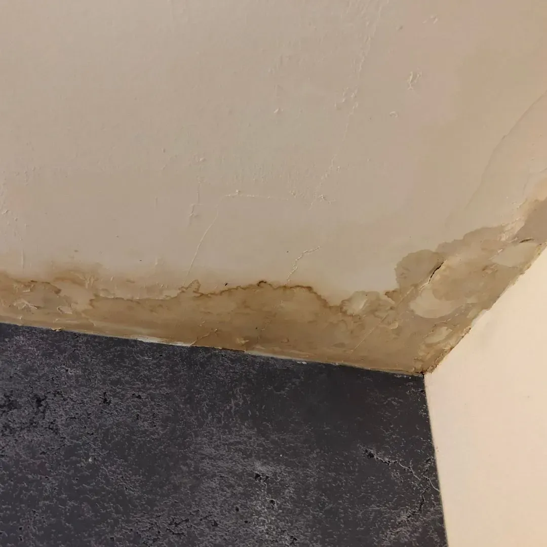 Leaks stains on ceiling