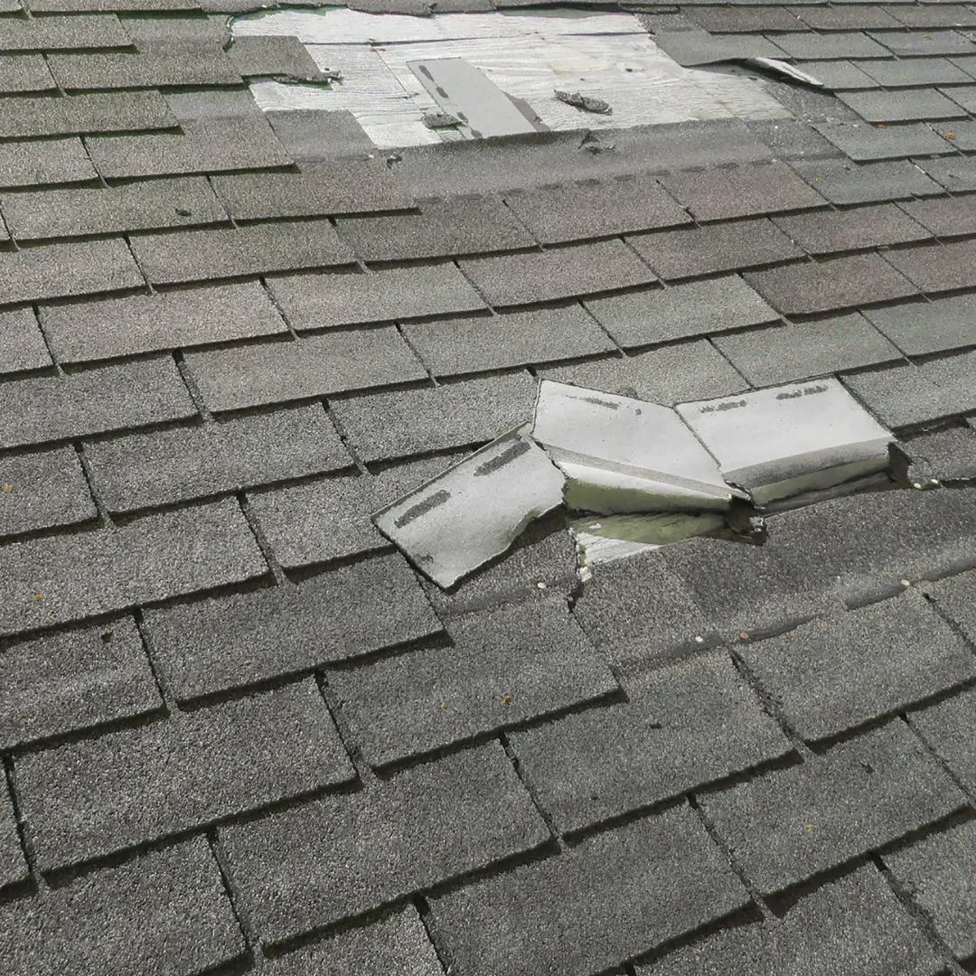 Checking the roof for signs of damage