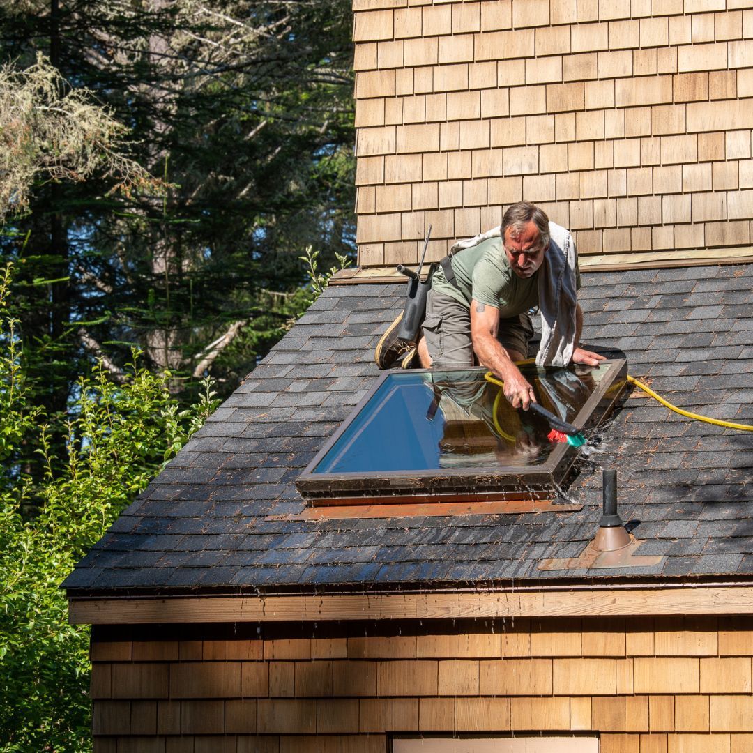 professional gutter/skylight service
