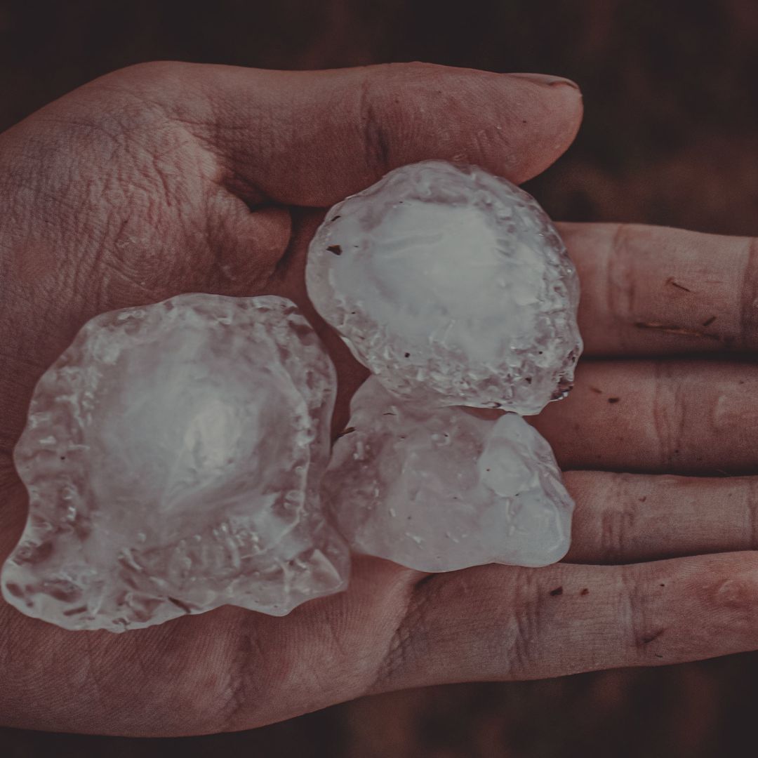 Large hail being held in a hand. Hail damage storm repair.