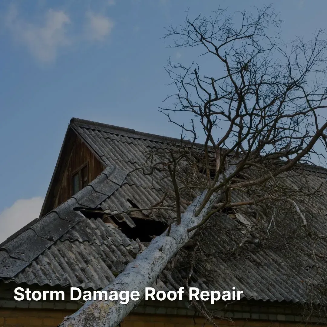 A fallen tree lies across a damaged roof, with the text