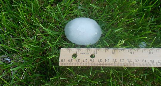 A ruler is laying on the grass next to a hail ball
