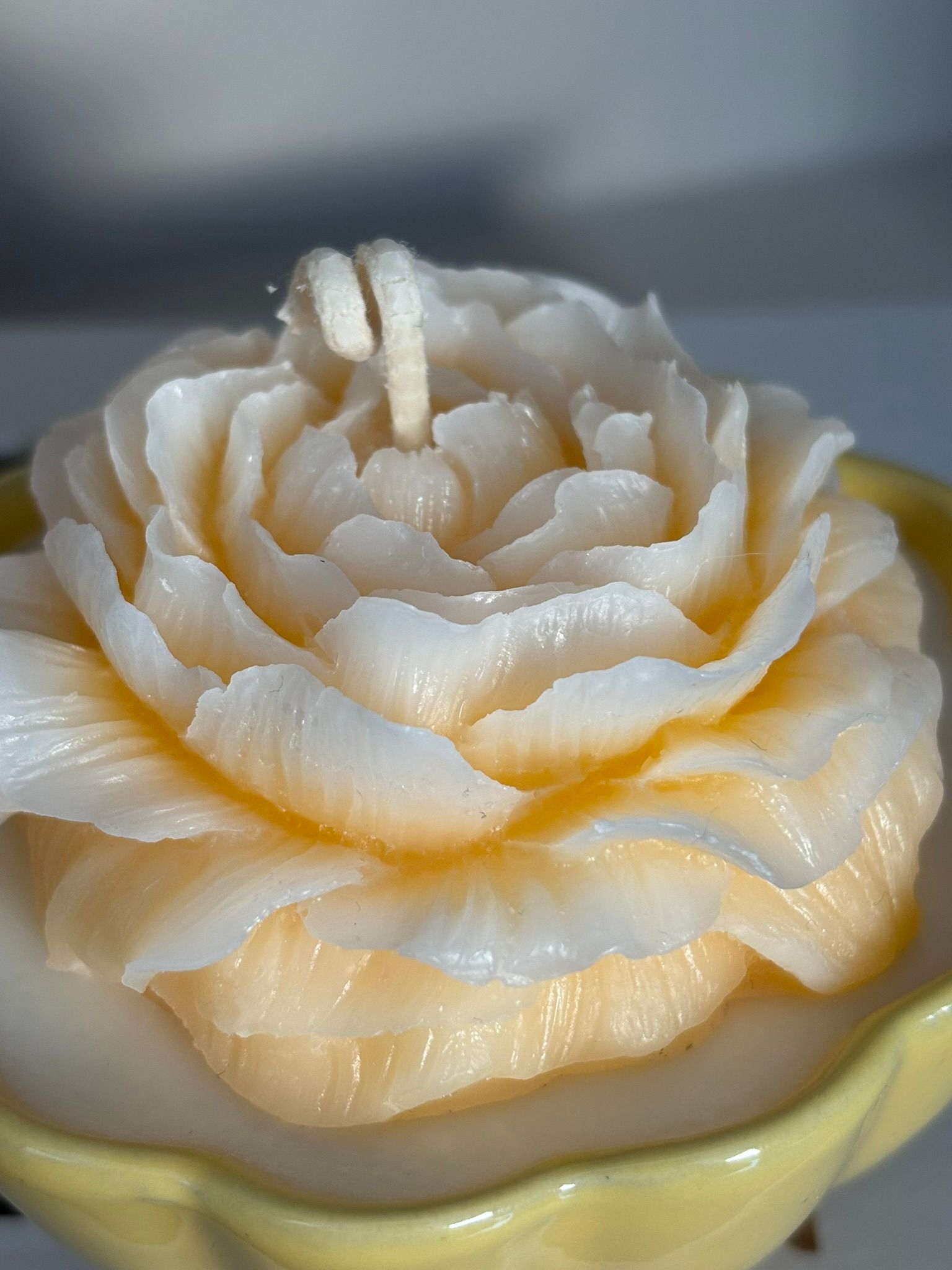 Bloemvormige kaars met gele en witte bloemblaadjes, in een geel gegolfd schaaltje, op een witte ondergrond.