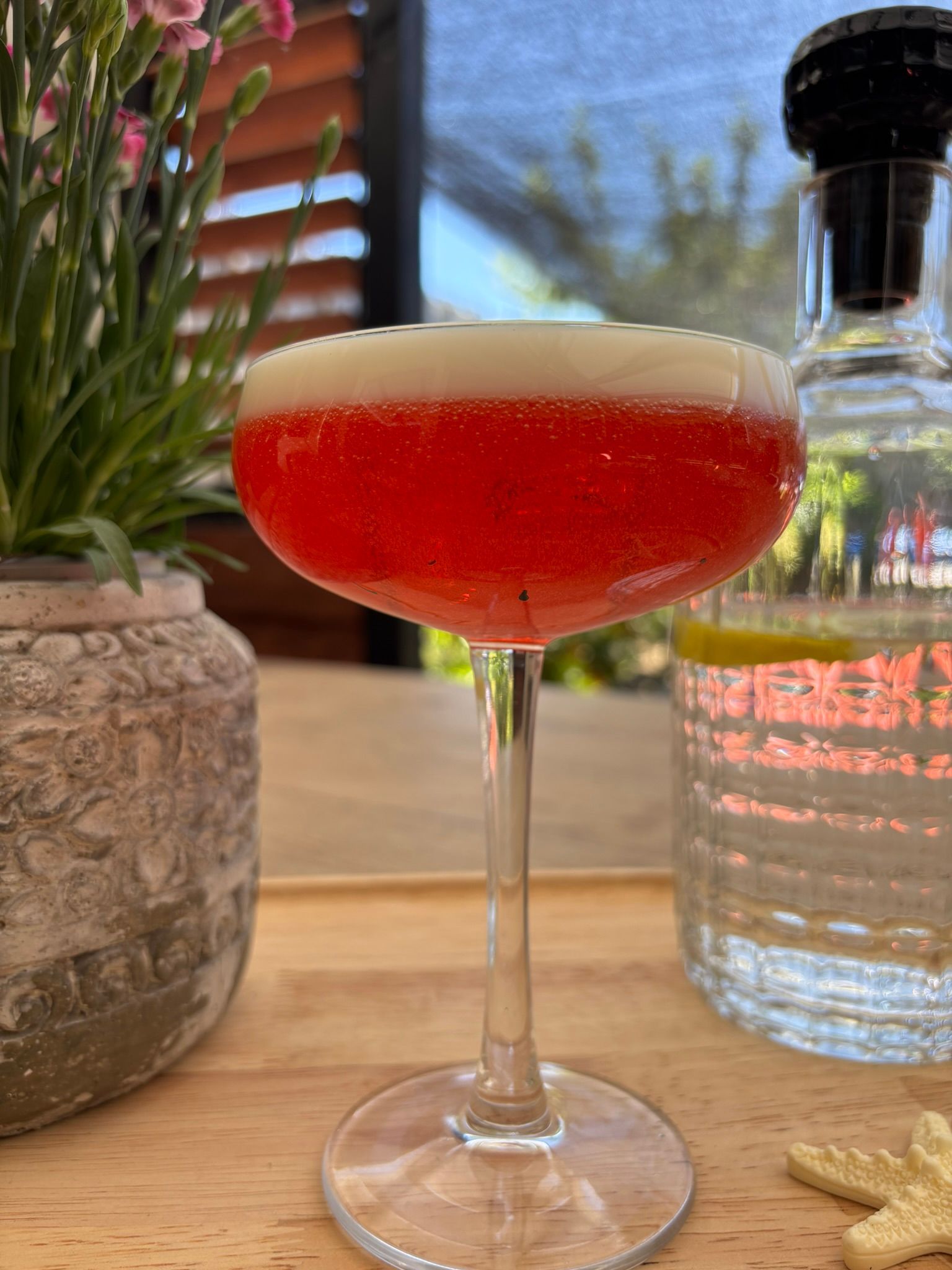 Een rode cocktail in een coupeglas naast een fles water, een potplant en een zeester op een houten tafel.