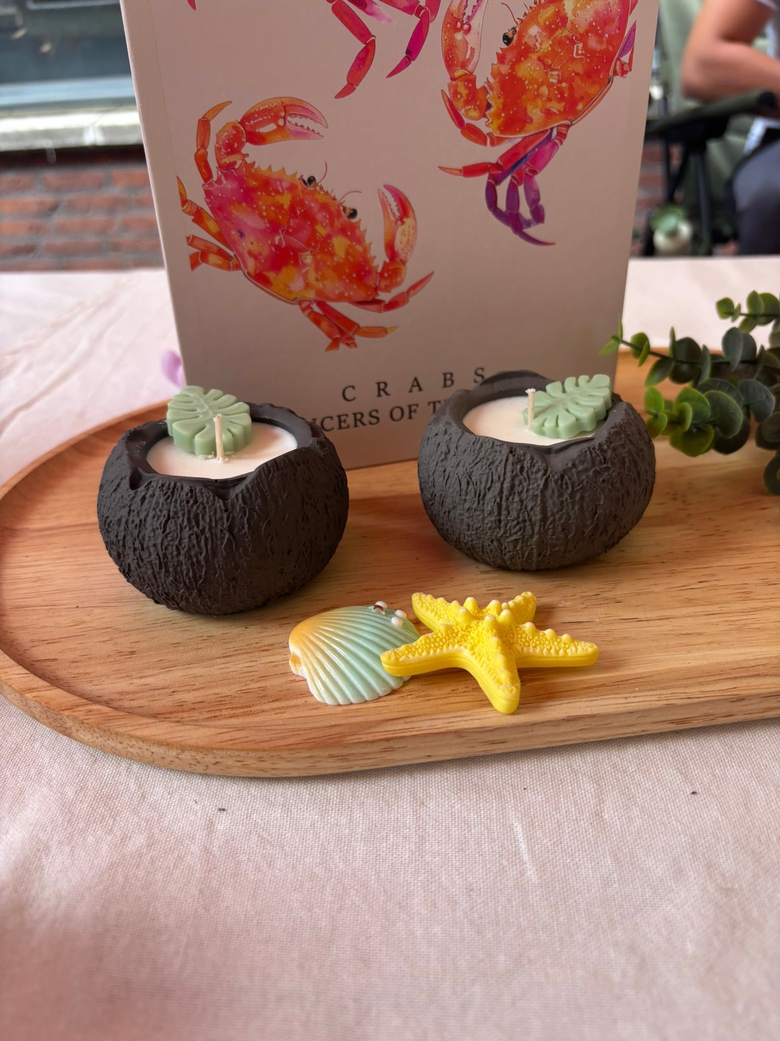 Decoratie met krabthema, bestaande uit twee kleine vetplantjes, een zeester en schelpen op een houten dienblad.