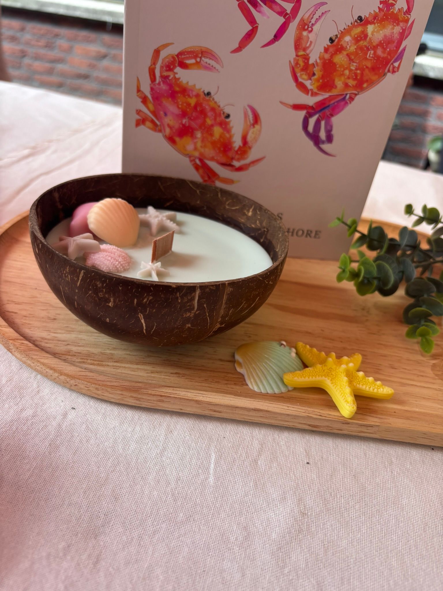 Decoratieve kokosnootschaal met witte kaars, schelpen, zeesterren en een pastelkleurige kaart met koraal- en visafbeeldingen.