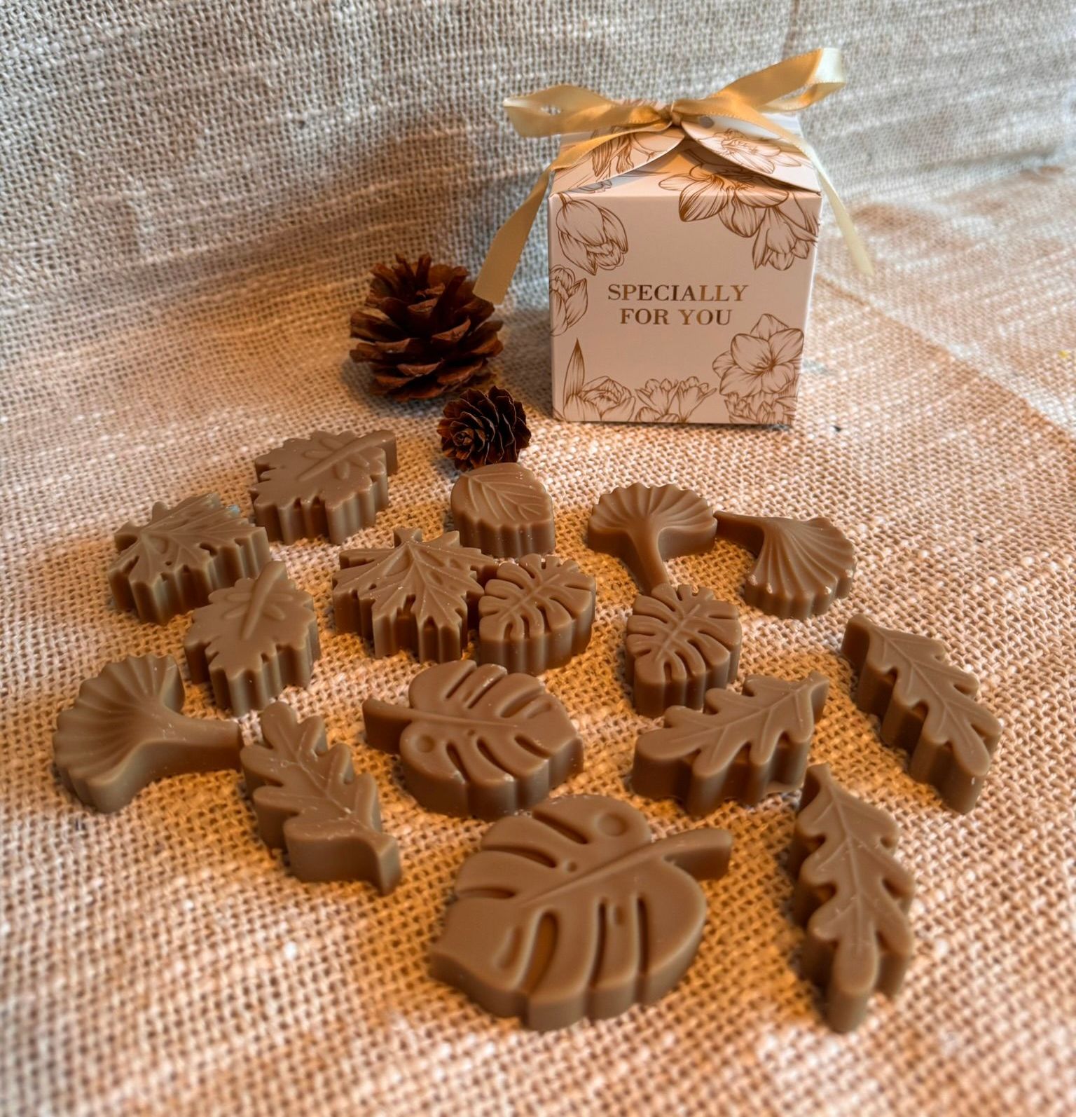 Waxmelts Les Sens de Marrakech