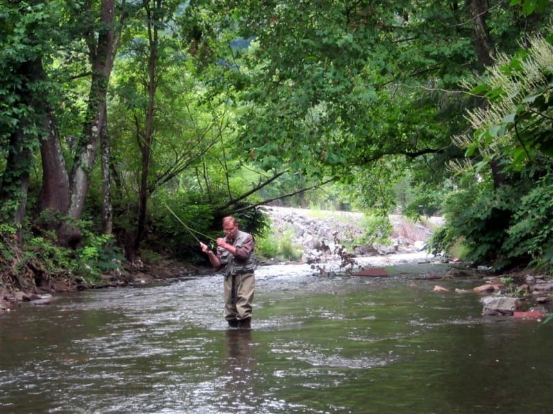 A man is fishing in a river in the woods.