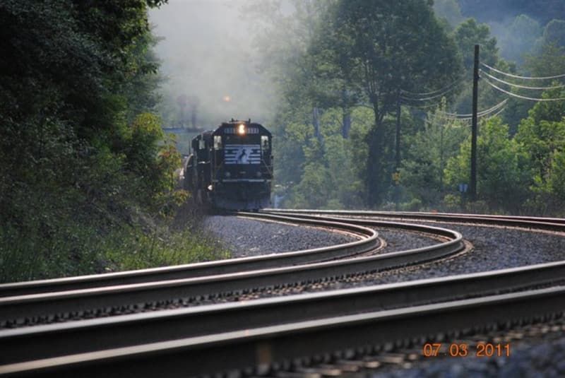 A train is going down the tracks in the woods.