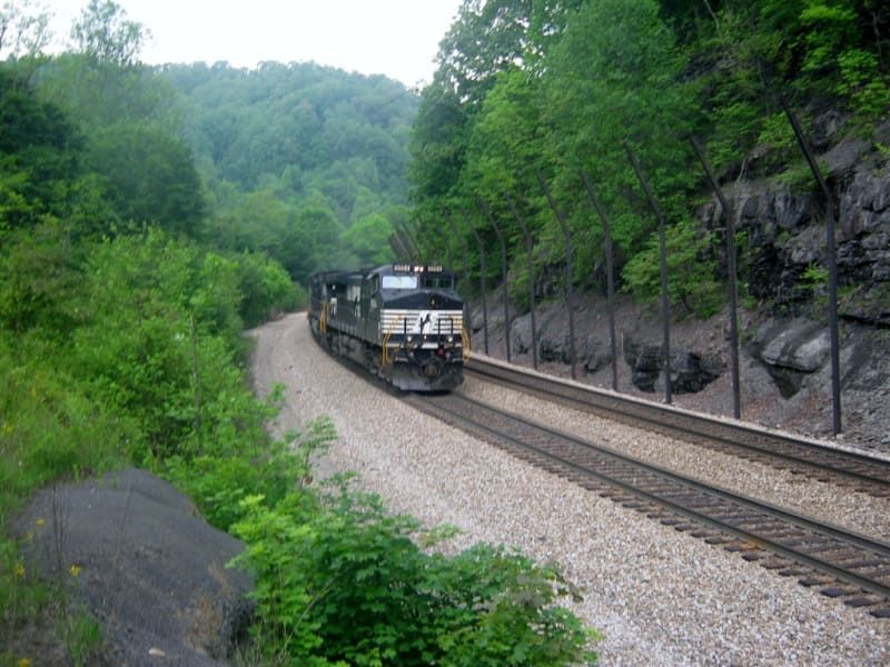 A train is going down the tracks in the woods.