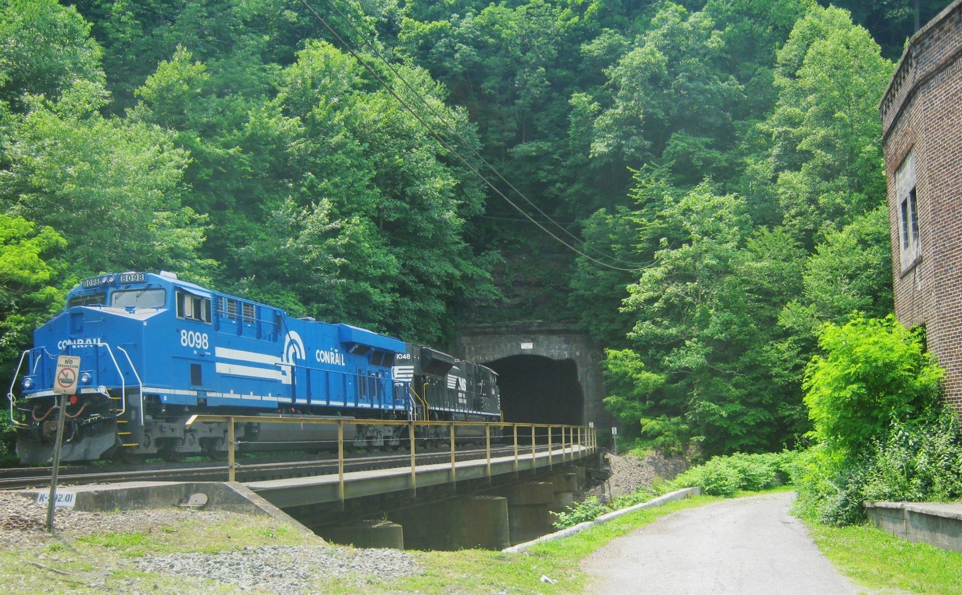 A blue train is going through a tunnel in the woods