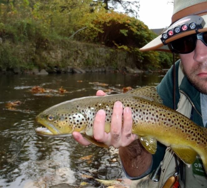 A man wearing a hat and sunglasses is holding a brown trout